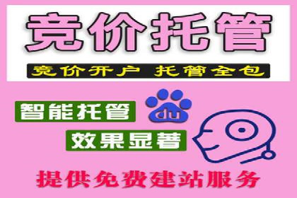 案例研究：关键词推广费用与ROI的关系